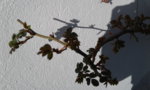 20190308_140016.jpg