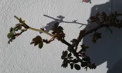 20190308_140016.webp