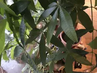 66728775-005D-43E6-8F81-B9A022CF99E4.webp 66728775-005D-43E6-8F81-B9A022CF99E4.webp