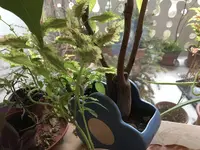 ACB573B4-E84C-4C43-8342-146F9AE2A474.webp ACB573B4-E84C-4C43-8342-146F9AE2A474.webp