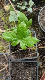 IMG_20190309_140457.webp