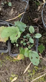 IMG_20190309_140507.webp