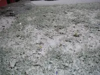 Schnee_11_03_2019 (6).webp