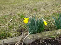 DSC00128.webp