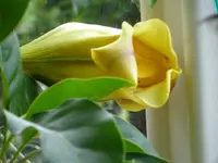DSC00131.webp