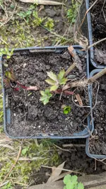 IMG_20190309_140454.webp