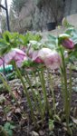 IMG_20190310_104819.jpg