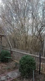 IMG_20190310_104601.webp