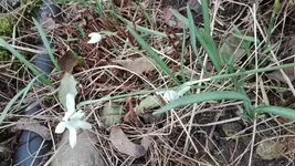 IMG_20190310_104357.webp