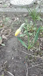 IMG_20190310_104304.webp