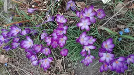 IMG_20190310_104219.webp