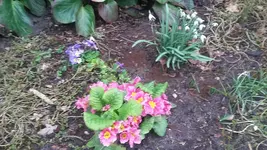 20190311_142408.webp