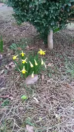 20190311_142420.webp