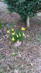 20190311_142420.jpg