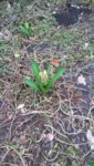 20190311_142427.jpg