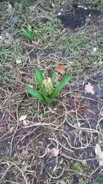 20190311_142427.webp