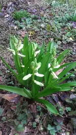 20190311_142438.jpg