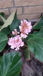 20190311_142515.webp