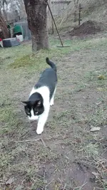 IMG_20190310_104715.webp