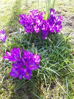 20190312_133221.webp