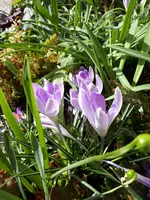 20190312_133310.webp