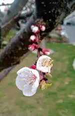 IMG_20190313_171716350 (1).webp