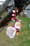 IMG_20190313_171716350 (1).png