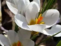 image001.webp