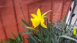 15525593587291501779883.webp