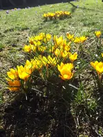 20190224_121528.webp