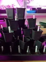 20190316_152727.webp