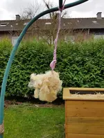 20190316_160036.webp