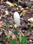 20190316_160356.jpg