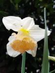 20190316_160453.jpg