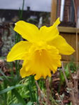 20190316_160141.jpg