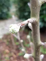 20190316_160629.webp