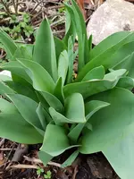 20190316_160158.jpg