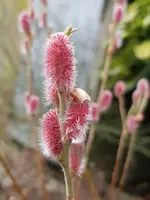 20190316_160604.webp