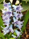 20190316_160645.jpg