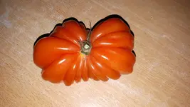 20190316_171227.webp