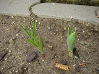 16_03_2019 (1).webp
