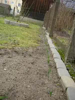 16_03_2019 (3).webp