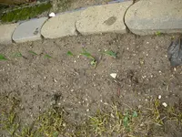 16_03_2019 (4).webp