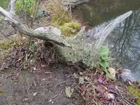 DSCN0030.webp