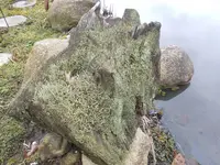 DSCN0029.webp