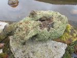 DSCN0028.JPG