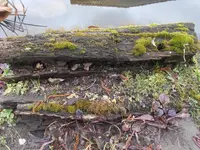 DSCN0027.webp