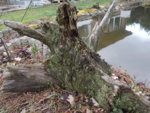DSCN0026.JPG