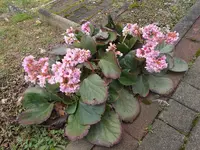 DSCN0016.webp