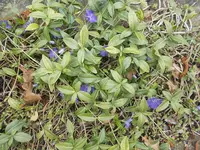 DSCN0018.webp